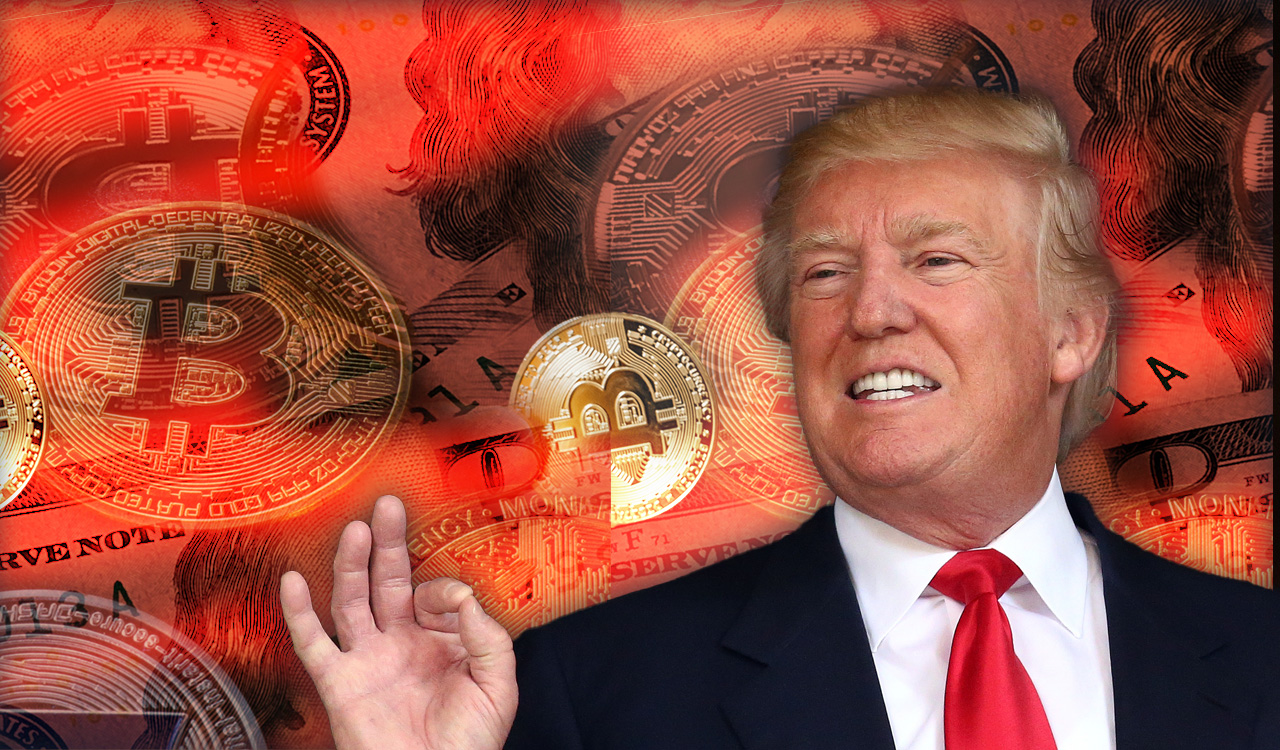 Πώς το Trump Trade εκτοξεύει Bitcoin, δολάριο και Tesla -Η ικανοποίηση των επενδυτών [γράφημα]