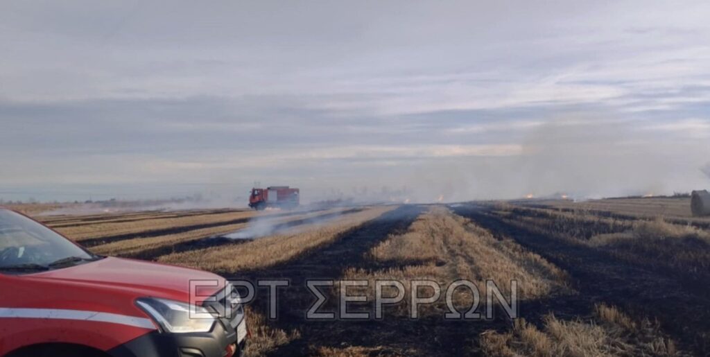 Σέρρες: Μεγάλη κινητοποίηση για φωτιά σε χωράφια – Προσαγωγές 4 ατόμων από την Πυροσβεστική