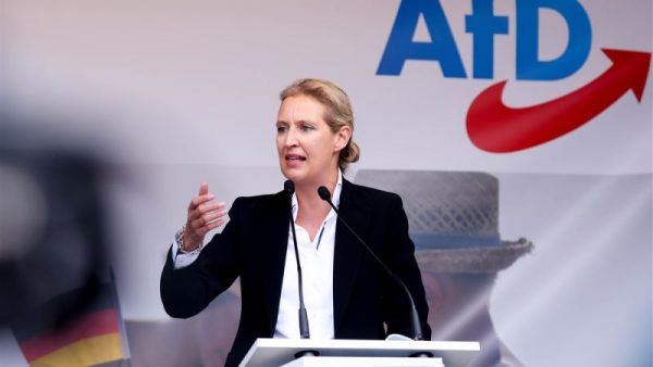 Κερδισμένο το AfD από το τέλος της συγκυβέρνησης;