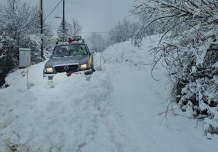 Λαμία: Πυκνό χιόνι στην Οίτη και τα ορεινά χωριά