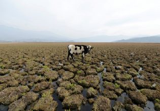 Πώς η ξηρασία «άλλαξε για πάντα» τα τρία τέταρτα της γης – Έκθεση ΟΗΕ