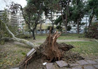 Θεσσαλονίκη: Σε κατάσταση έκτακτης ανάγκης ο Δήμος – Έχουν πέσει πάνω από 600 δέντρα