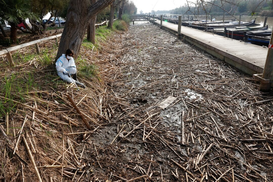 Εθελοντές μαζεύουν ξύλα και σκουπίδια σε κανάλι που συνδέεται με τη λιμνοθάλασσα (Reuters)