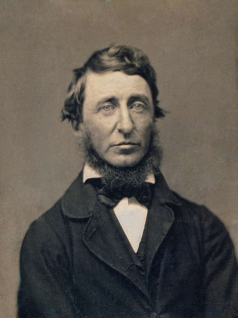 O Henry David Thoreau είχε εφεύρει πρώτος τη φράση brain rot