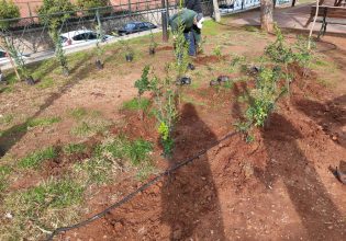 Πράξη αναζωογόνησης του Άλσους Αγίας Τριάδας στο Δήμο Βύρωνα