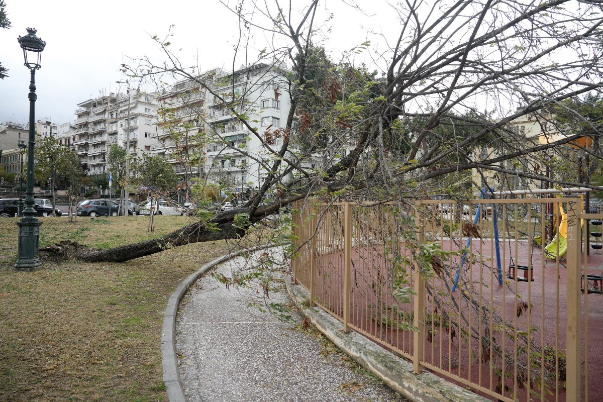 ΣΥΡΙΖΑ: Παραθερίζει το επιτελικό κράτος ενώ η κακοκαιρία Bora σαρώνει τη χώρα