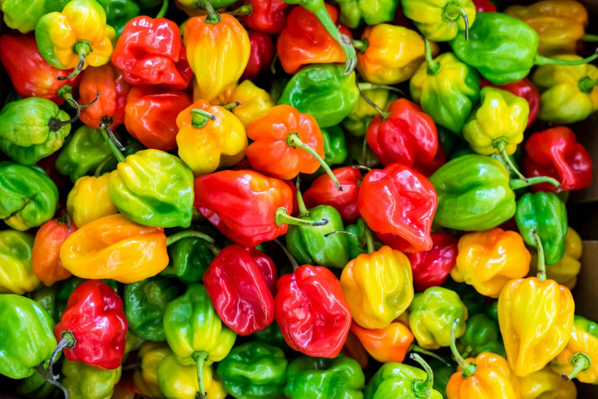 Bell pepper code ή αλλιώς η ένδειξη πως κάποιος έχει σκοπό να απιστήσει