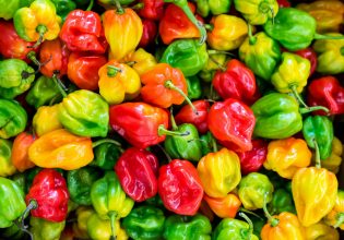 Bell pepper code ή αλλιώς η ένδειξη πως κάποιος έχει σκοπό να απιστήσει