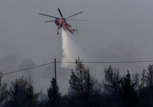 Έκθεση Meteo – WWF: Οι φωτιές αυξήθηκαν κατά 42% σε σύγκριση με την περίοδο 2006 -2023