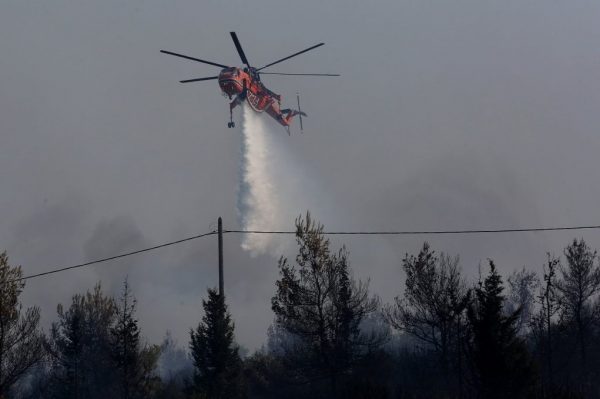 Έκθεση Meteo – WWF: Οι φωτιές αυξήθηκαν κατά 42% σε σύγκριση με την περίοδο 2006 -2023