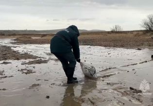 Κριμαία: Τεράστιες ποσότητες μαζούτ φτάνουν στις ακτές της από τα τάνκερ που βυθίστηκαν