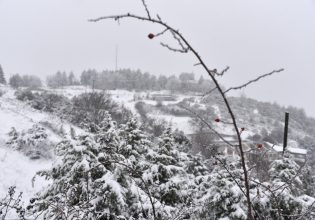 Κακοκαιρία: Άρση κυκλοφοριακών ρυθμίσεων σε επαρχιακές οδούς του δήμου Λαγκαδά