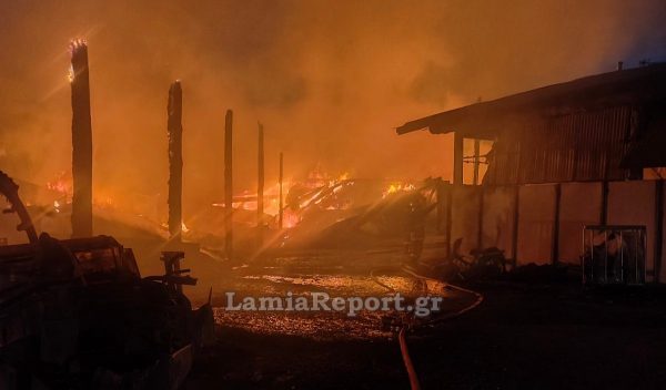 Καταστροφική φωτιά σε μεγάλη κτηνοτροφική μονάδα στον Αλμυρό Βόλου – Απομακρύνθηκαν 2.500 ζώα