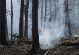 Τα ακραία καιρικά φαινόμενα στον Καναδά ανέβασαν τον… λογαριασμό για τις ασφαλιστικές εταιρείες