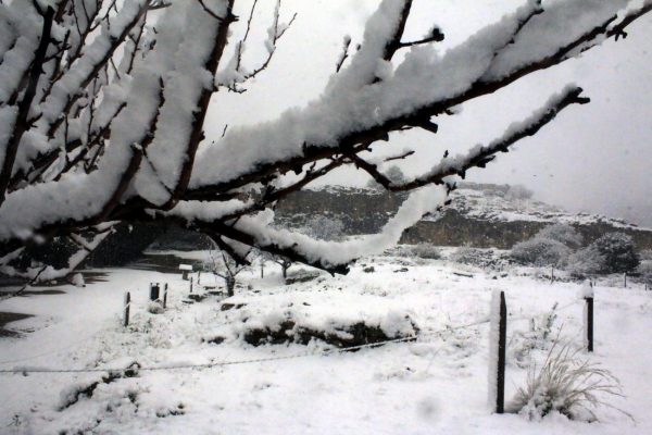 Καιρός: Πού χιόνισε, πού υπάρχουν προβλήματα και πώς θα εξελιχθούν τα καιρικά φαινόμενα τις επόμενες ώρες