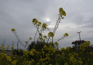 Καιρός: Προ των πυλών νέα θερμή εισβολή με 30άρια – Ισχυροί νοτιάδες και αφρικανική σκόνη σήμερα